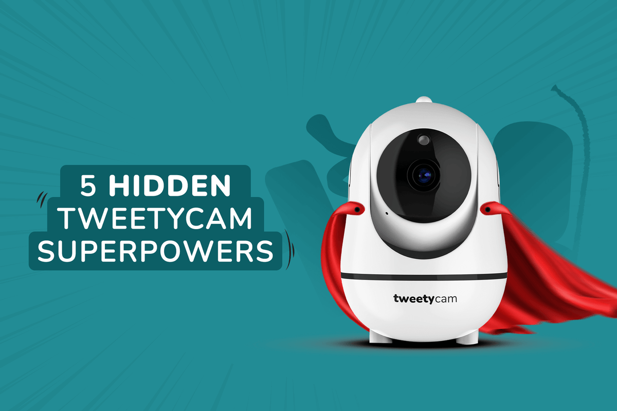5 Tweetycam features you didn’t know you needed (but totally do)