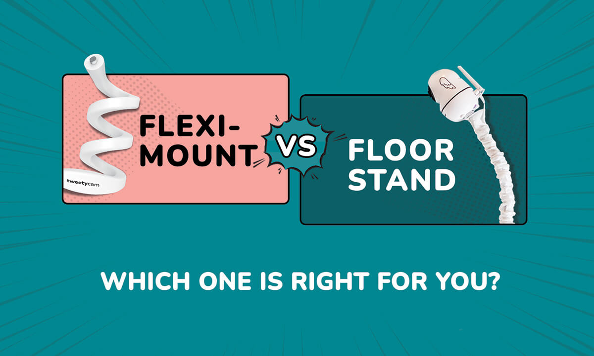 Flexi-Mount vs Floor Stand: Which one is right for you