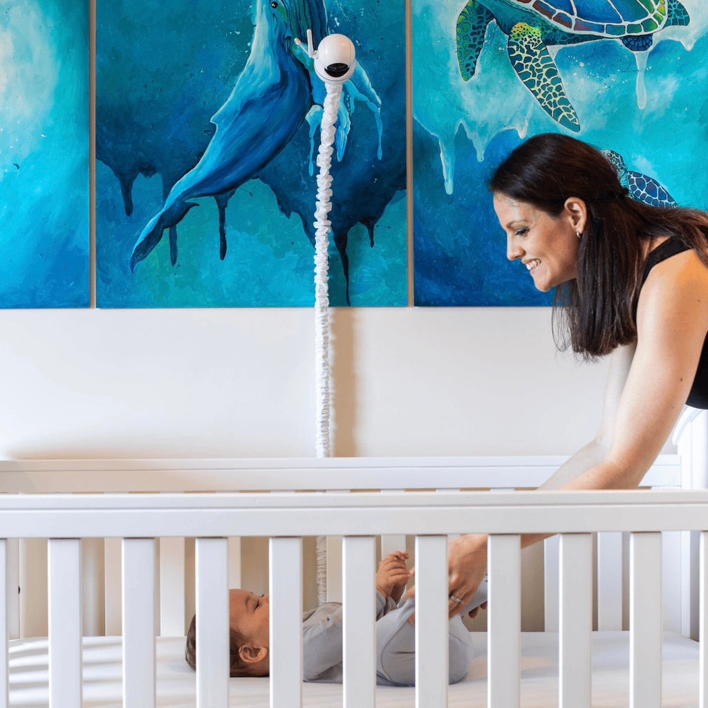 Tweetycam baby monitor with two cameras