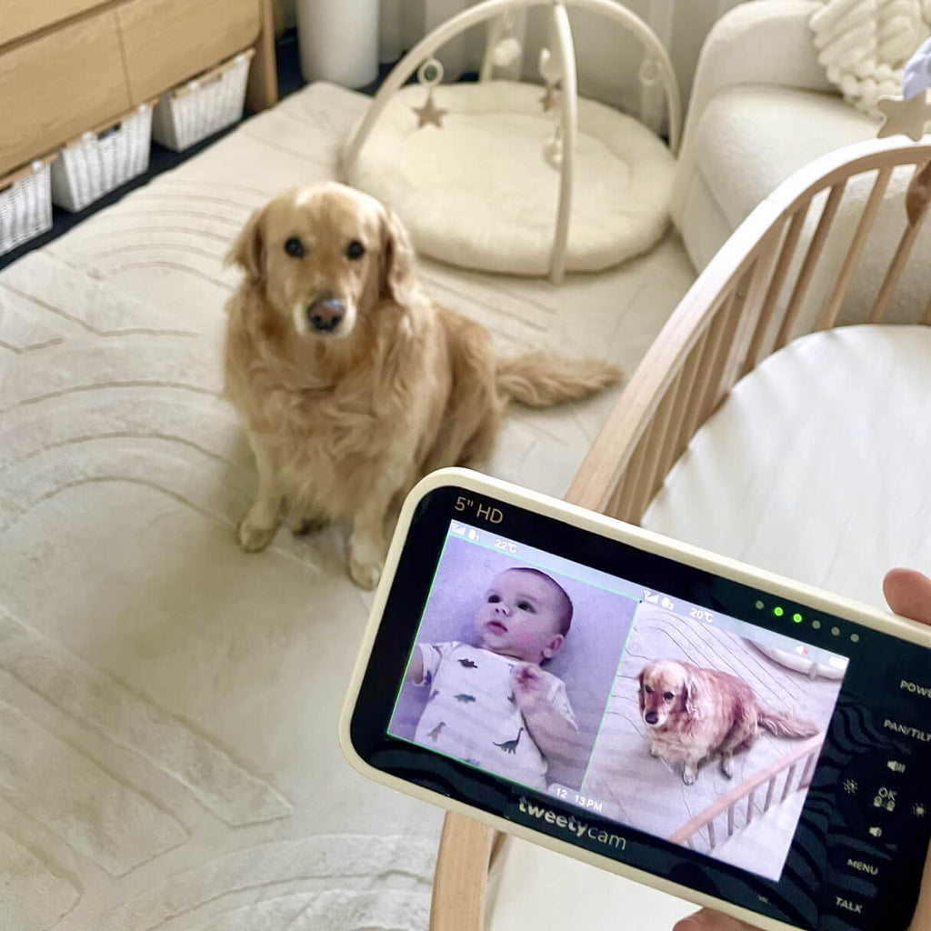 Tweetycam baby monitor with two cameras