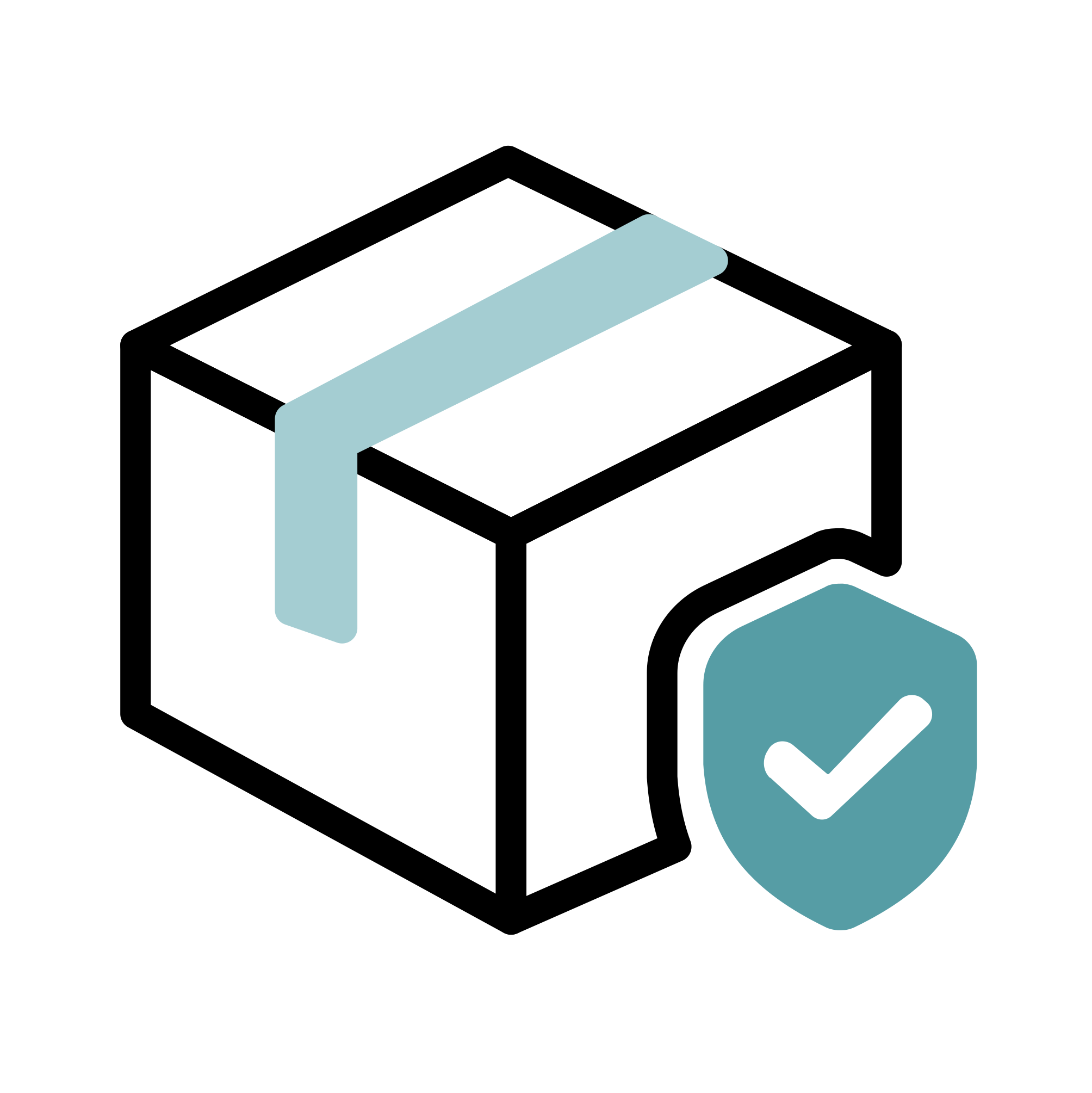 Shipping Protection