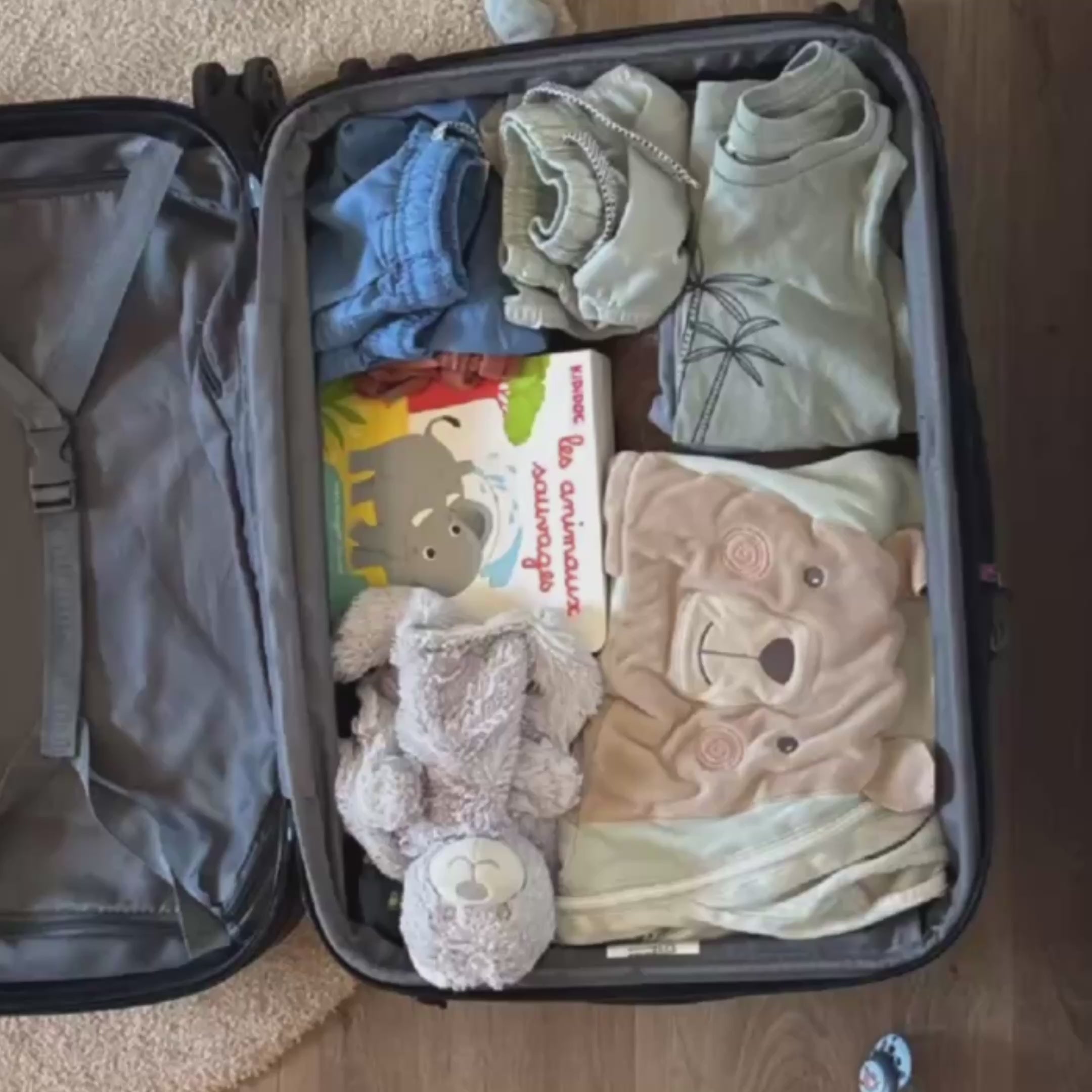 Travel Case